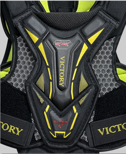 Shoulder Pad protection 2